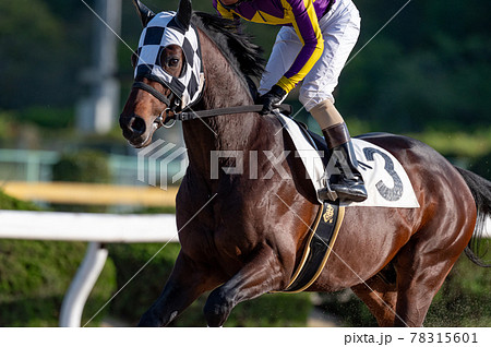 佐賀競馬 78315601