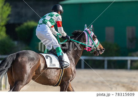 佐賀競馬 佐賀競馬 78315609