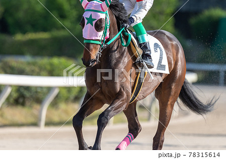 佐賀競馬 佐賀競馬 78315614