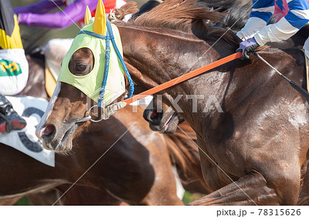 佐賀競馬 佐賀競馬 78315626