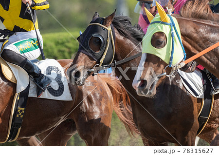 佐賀競馬 佐賀競馬 78315627