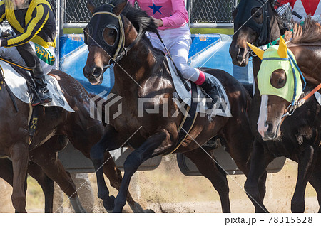 佐賀競馬 佐賀競馬 78315628