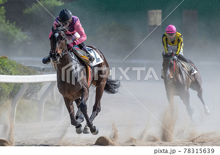 佐賀競馬 78315639