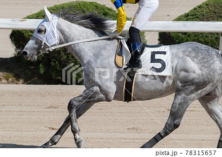 佐賀競馬 78315657