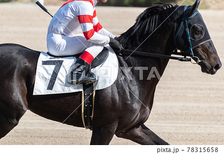 佐賀競馬 佐賀競馬 78315658