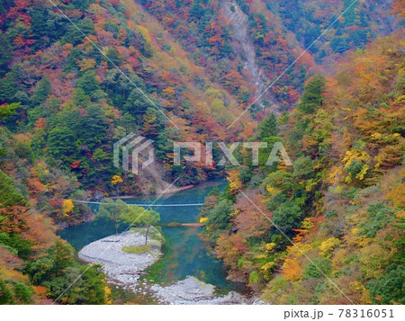 色鮮やかな木々の中の夢の吊り橋 78316051