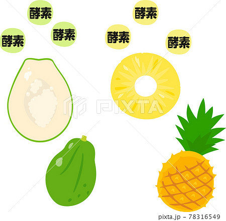 パパイヤ パイナップルと酵素のイメージのイラスト素材