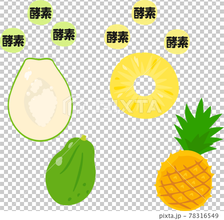 パパイヤ、パイナップルと酵素のイメージ 78316549