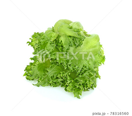 Cabbage isolated on white background 78316560