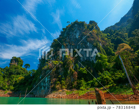 切り立つ崖を見上げる (カオソック湖、スラートターニー県、タイ王国) 78316848