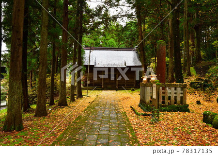 紅葉の加茂山公園（新潟県） 78317135