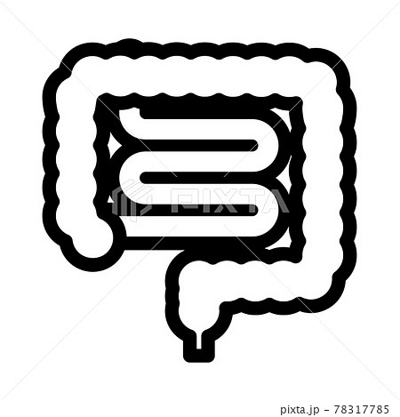 腸のアイコン 78317785