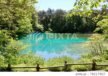 初夏の五色沼・青沼（福島県・北塩原村） 78317907