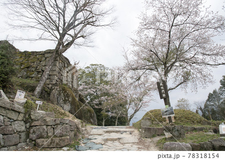 苗木城跡 三の丸風吹門跡と桜 苗木城跡 三の丸風吹門跡と桜 78318154