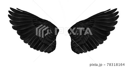 Pinion on the sprawling white 78318164