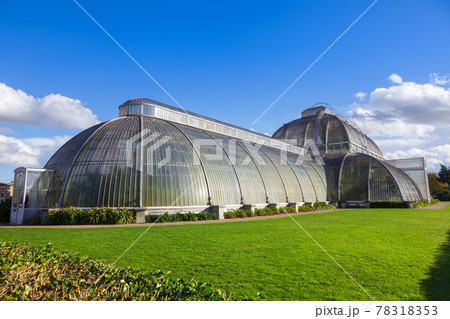Kew Gardens Palm House Kew Gardens Palm House 78318353