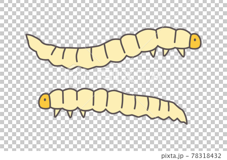 食用昆虫のイラスト 食用ワーム 食用昆虫のイラスト 食用ワーム 78318432