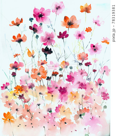 透明水彩 水彩画 花 78319381