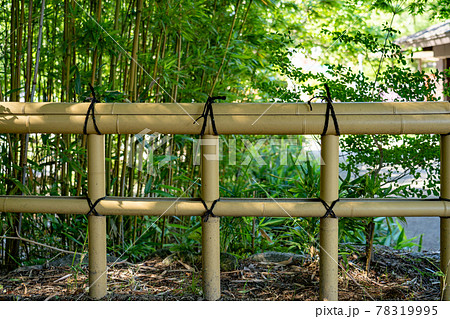 Bamboo grove and low bamboo fence - Stock Photo [78319995] - PIXTA