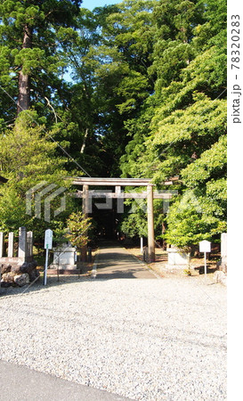 若狭国一宮 若狭彦神社(上社)鳥居 若狭国一宮 若狭彦神社(上社)鳥居 78320283