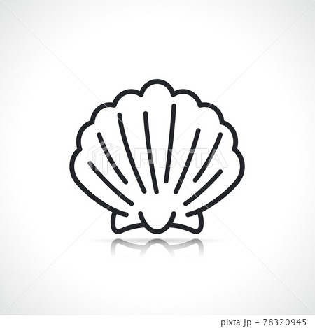 scallop or sea shell icon 78320945