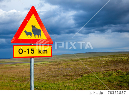 Sheep crossing road sign in Iceland 78321887