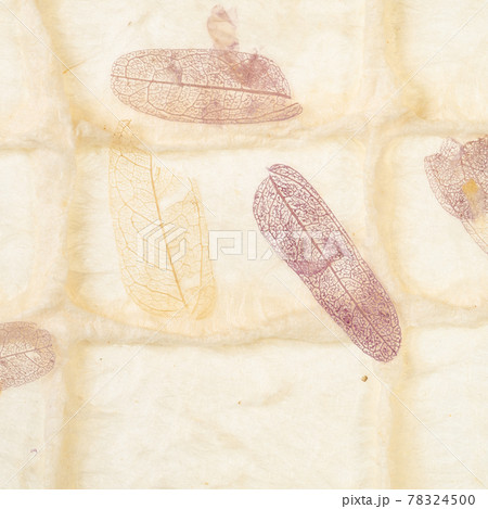 square background from handmade paper with leaves 78324500