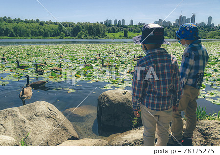 カナダグースを眺める子どもたち カナダグースを眺める子どもたち 78325275