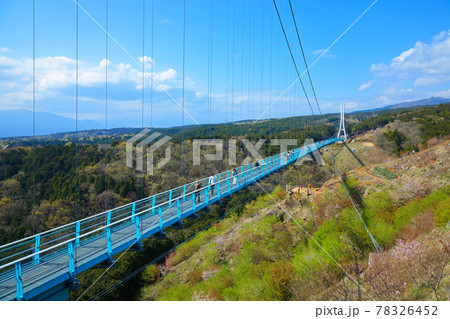 三島スカイウォークと空中散歩　大吊橋と青空 78326452