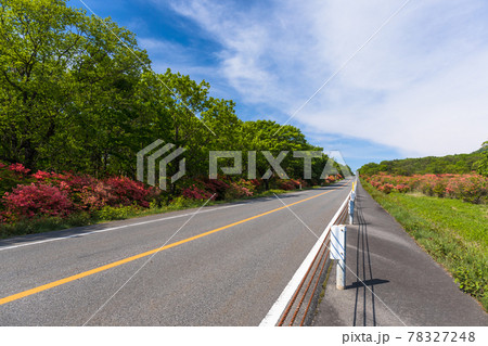 ツツジ咲くメロディライン ツツジ咲くメロディライン 78327248