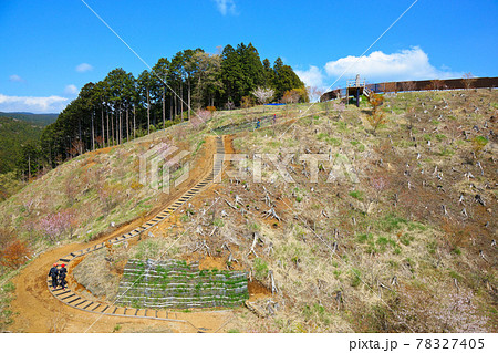 三島スカイウォーク ロングジップスライド 天空を翔ぶ 飛翔する 三島スカイウォーク ロングジップスライド 天空を翔ぶ 飛翔する 78327405