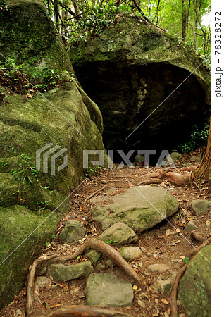 熊野古道　乳岩　【和歌山県田辺市中辺路町】 78328272