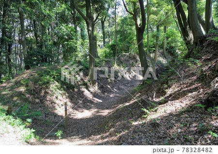 烏帽子形城跡 横堀 烏帽子形城跡 横堀 78328482