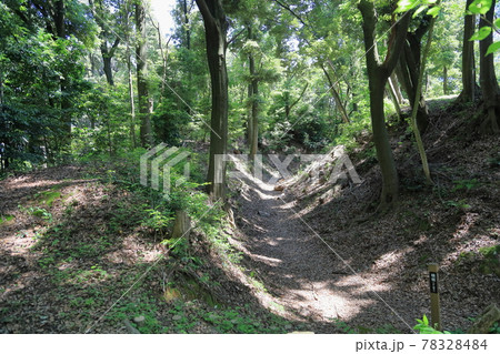 烏帽子形城跡　横堀 78328484