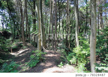 烏帽子形城跡 78328487