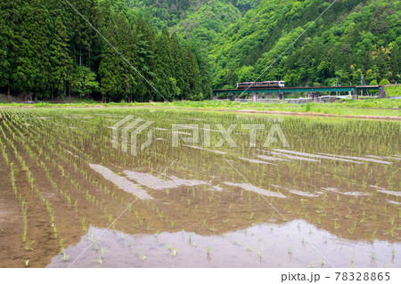 新緑の高山本線 新緑の高山本線 78328865