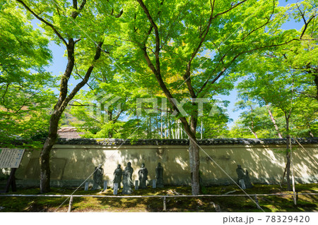 京都 宝厳院の新緑 京都 宝厳院の新緑 78329420