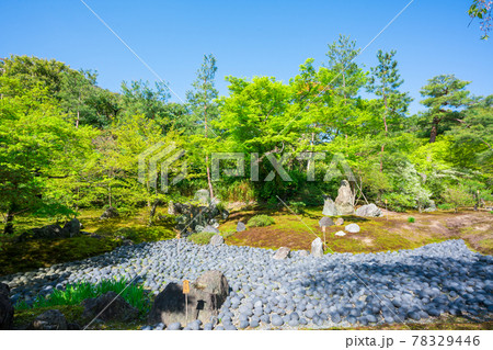 京都　宝厳院の新緑 78329446