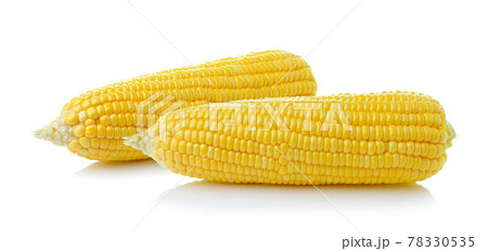 corn on white background 78330535