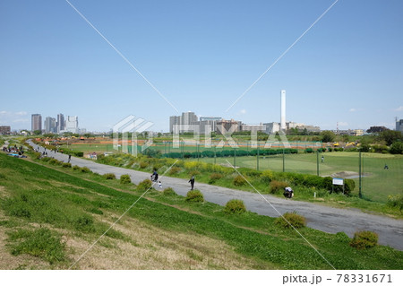 多摩川河川敷 多摩川河川敷 78331671