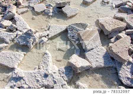 天然の岩塩ブロック in エチオピア・ダナキル砂漠のカルム塩湖 78332097