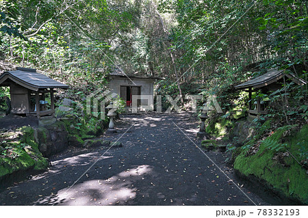 【黒神埋没鳥居 (黒神神社)】 鹿児島県鹿児島市黒神町 78332193