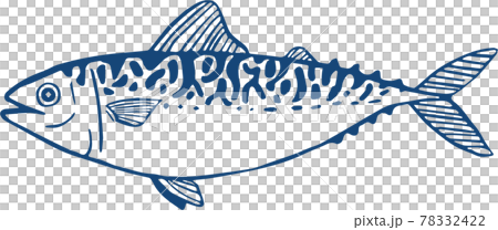 サバのイラスト 78332422
