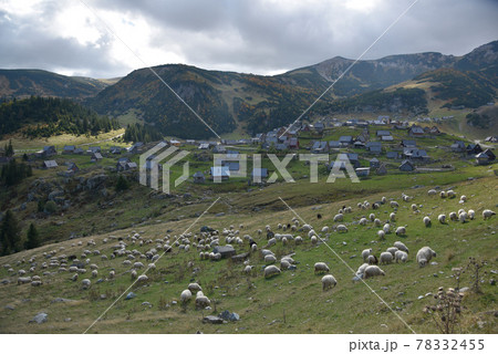 景色 風景 草 78332455