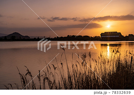 鳥取県米子市　春の米子水鳥公園の夕景 78332639