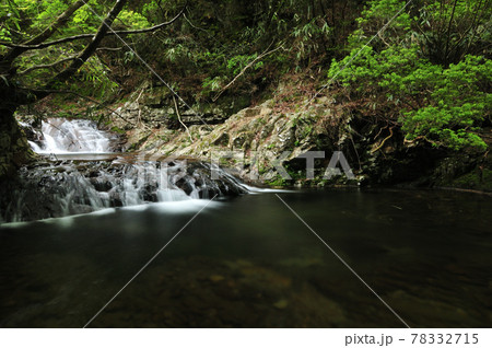 済浄坊渓谷  (無名滝)　【奈良県宇陀郡曽爾村】 78332715
