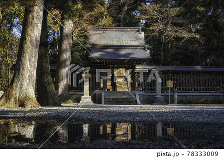 滋賀県 多賀大社の境内摂社 式内日向神社と参拝者の後ろ姿の写真素材