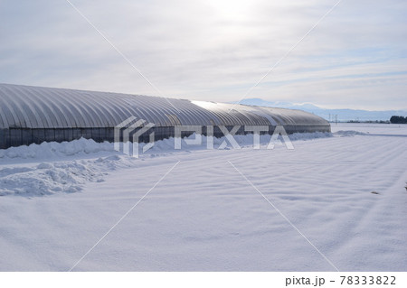 ビニールハウス 雪景色 ビニールハウス 雪景色 78333822