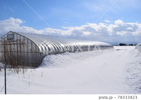 ビニールハウス 雪景色 ビニールハウス 雪景色 78333823