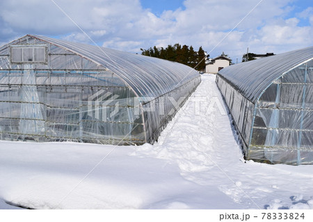 ビニールハウス 雪景色 ビニールハウス 雪景色 78333824